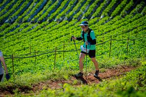 BIB: 
                            <button type="button" onclick="openModal(19162042)" class="btn btn-primary btn-sm float-right btn-popup" data-toggle="modal" data-target=".modal-high-quality">
                        <i class="fas fa-shopping-cart"></i> Add to Cart
                    </button>
                                            <button type="button" onclick="isThisMe(19162042, true)" class="btn btn-success btn-sm float-right btn-popup btn-isme hidden" data-toggle="tooltip" data-placement="bottom" title="นี่คือรูปของคุณใช่ไหม คลิกที่นี่เพื่อเอาเข้าอัลบั้ม">
                        <i class="fas fa-plus"></i> Add to album
                    </button>
                    <button type="button" onclick="isThisMe(19162042, false)" class="btn btn-warning btn-sm float-right btn-popup btn-isnotme hidden">
                        <i class="fas fa-ban"></i> Remove from album
                    </button>